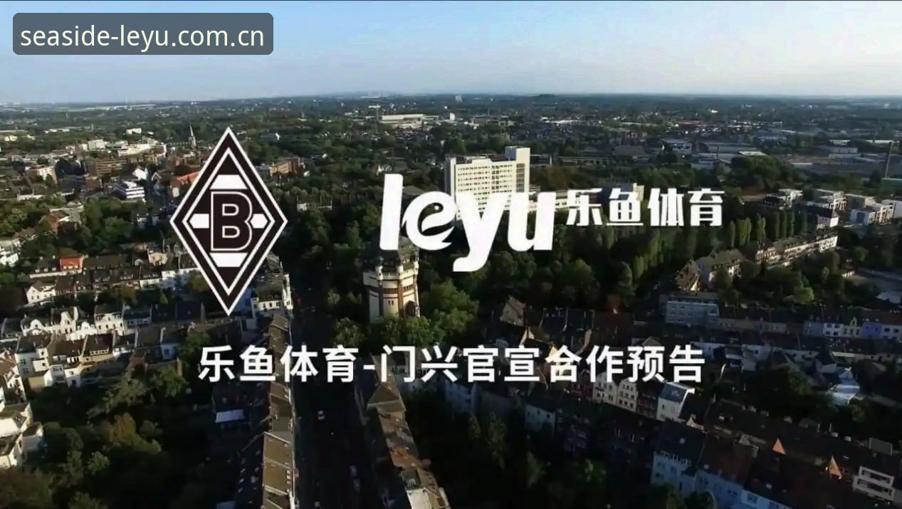乐鱼体育官网2026leyu CN登录入口深度评测：从3秒延迟看数据服务的真实成色